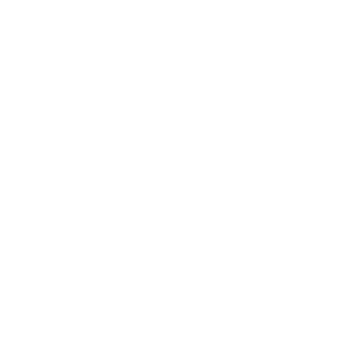 Mein Shop